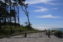 Hochzeit in Fischland-Darss-Zingst mit wunderschönen Trauungsorten an der Ostsee