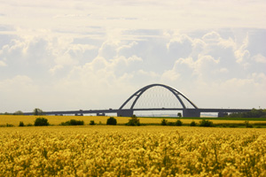 Insel Fehmarn, Fehmarn-Sundbrücke mit Rapsfeld