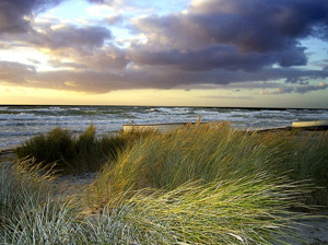 Strandhochzeit - Heiraten am Meer - Dünen und Meer